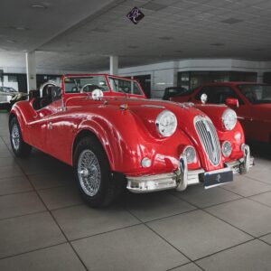 Jaguar - Hurtan Albaycin